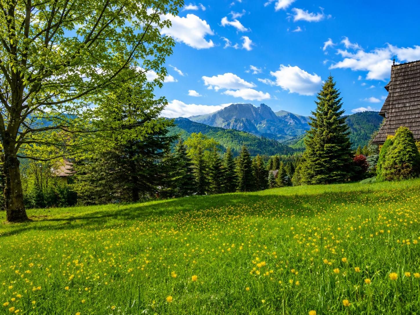 Zielona łąka i górska panorama w otoczeniu Rancho